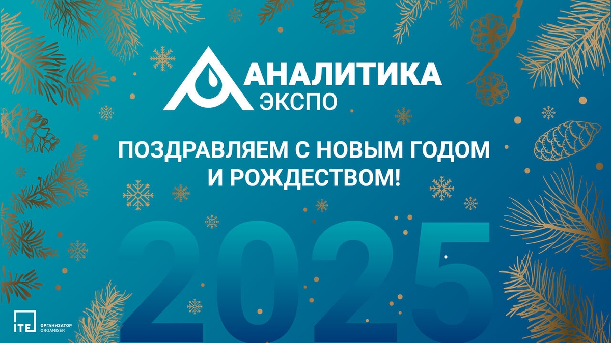 Новый год 2025